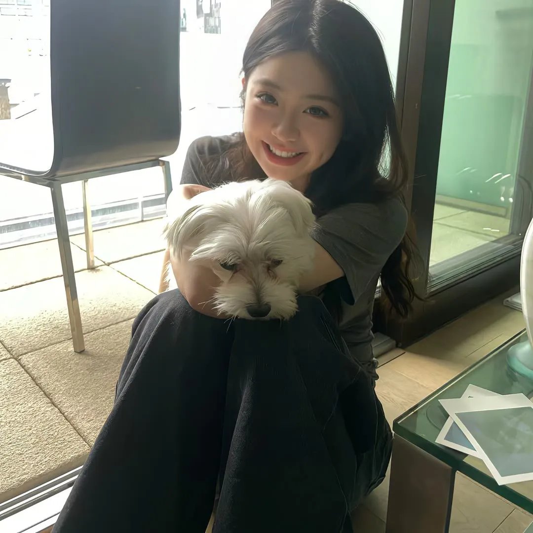 小姐与流浪汉